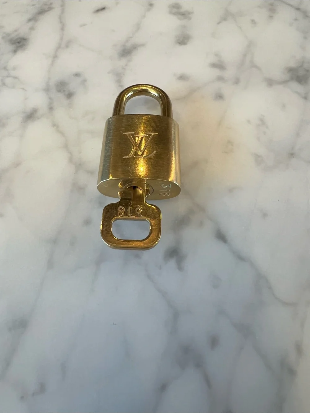 Louis Vuitton lock and key #318